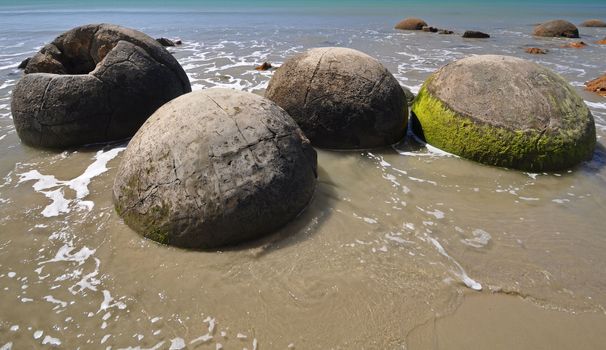 Moeraki Boulders are perfectly spherical rocks on the beach at Moeraki, near Oamaru. Up to 13 feet round Maori believe they were canoe food baskets.