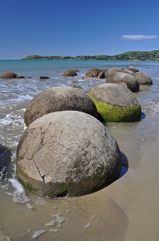 Moeraki Boulders are perfectly sperical rocks on the beach at Moeraki, near Oamaru. Up to 13 feet round Maori believe they were canoe food baskets.