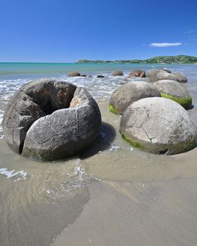 Moeraki Boulders are perfectly spherical rocks on the beach at Moeraki, near Oamaru. Up to 13 feet round Maori believe they were canoe food baskets.