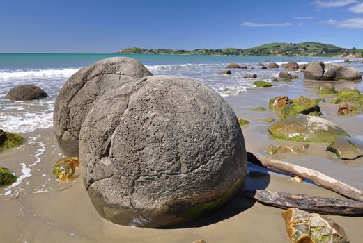 Moeraki Boulders are perfectly spherical rocks on the beach at Moeraki, near Oamaru. Up to 13 feet round Maori believe they were canoe food baskets.