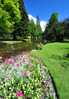 Queenstown Gardens, South Island, New Zealand. A wonderful open public space. Here the lake is seen with a boarder of tulips in the foreground