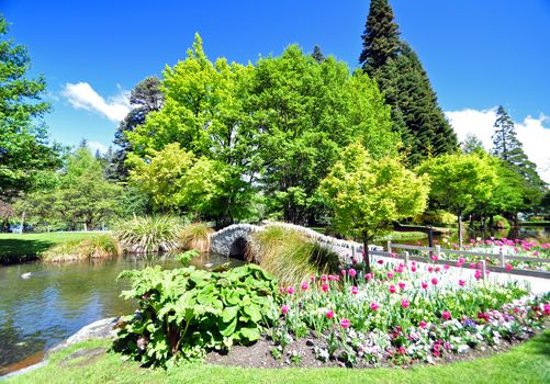Queenstown Gardens, South Island, New Zealand. A wonderful open public space. Here the lake is seen with the stone footbridge and path