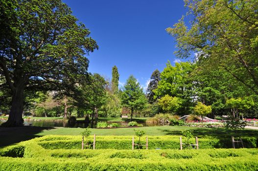 Queenstown Gardens, South Island, New Zealand. A wonderful open public space. Here the lake is seen with a glimpse of the footbridge through the trees