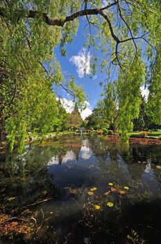 Queenstown Gardens, South Island, New Zealand. A wonderful open public space. Here the lake is seen frames through a canopy of hanging trees in the foreground