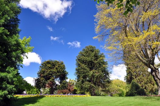 Queenstown Gardens, South Island, New Zealand. A wonderful open public space. Here the view is across open lawns with a manicured flowerbed beyond.