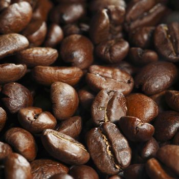 Fresh roasted coffee beans close-up background