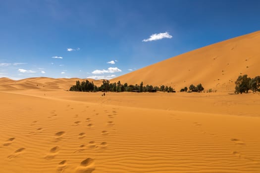 dune erg Chebbi in the blue sky, Morocco