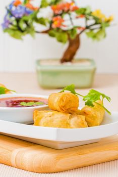 Spring Roll appetizer and dipping sauce photographed closeup.