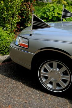 Detail of a silver grey hearse