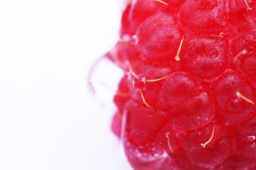 Macro view of a raspberry on white background 