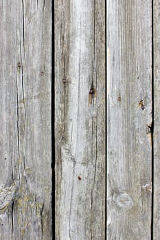 The high resolution old natural wood textures