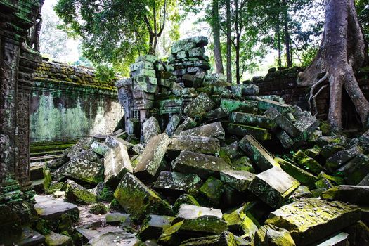 Ta Phrom temple in Angkor in Cambodia