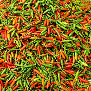 close up Fresh chili organic vegetables in Luang Prabang, Laos