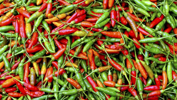 close up Fresh chili organic vegetables in Luang Prabang, Laos