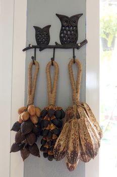 Dried seeds hanging on wall