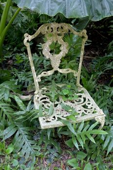 White chair in garden