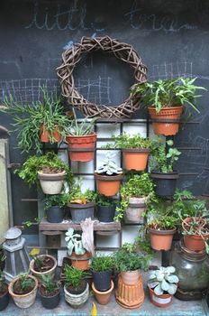Garden decoration of many plants in pot