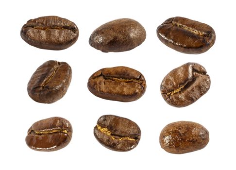 Collection of fresh roasted coffee beans ( close up ) ( isolate background )