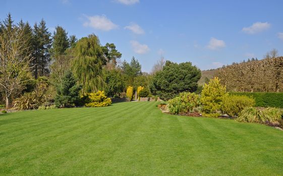 Perfect lawn within an established English country garden, boarders and mature trees and shrubs add to the flow of the garden.