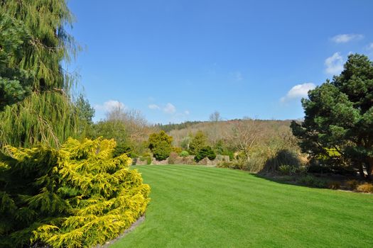 Perfect lawn within an established English country garden, boarders and mature trees and shrubs add to the flow of the garden.