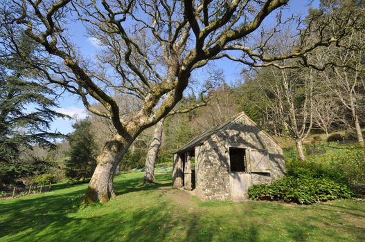 Garden outhouse. Set within a large English country garden in spring.