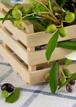 Raw Green and Black Olives with Leafs in Wooden Box Cross Section on Checkered Napkin