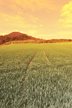 Green Pastures around Farm House in Switzerland at Sunset, Vintage Style Toned Picture