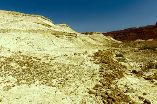 Dry Riverbed in the Judean Desert, Vintage Style Toned Picture