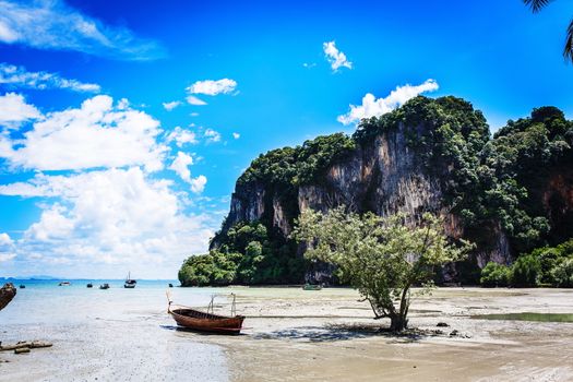 Scenic beach with rock in picturesque Thailand