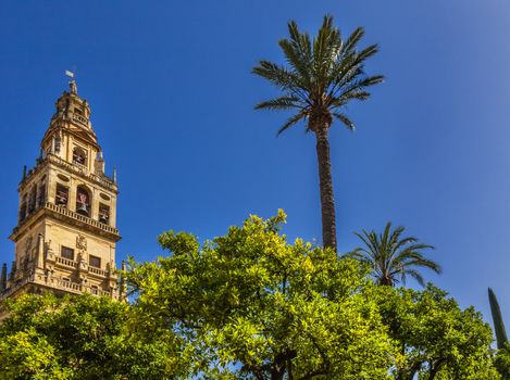 Torre del Alminar Bell Tower Palm Tree Mezquita Cordoba Andalusia Spain.  Created in 785 as a Mosque, was converted to a Cathedral in the 1500.  Bell Tower was constructed on top of minaret. 