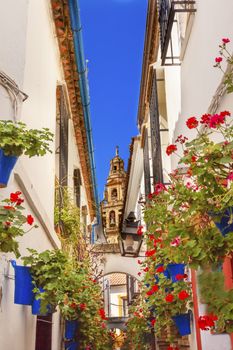 Flower Street Calleja de las Flores Old Torre del Alminar Bell Tower Mezquita Cordoba Andalusia Spain.  Mezquita created in 785 as a Mosque, converted to a Cathedral in the 1500.  Calleja de las Flores old Jewish quarter of Cordoba.