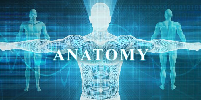 Anatomy as a Medical Specialty Field or Department