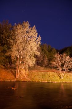 Romantic view of night tree and river in park