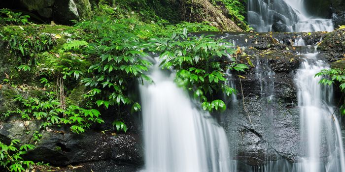 Waterfall in Lamington National Park in Queensland, Australia.