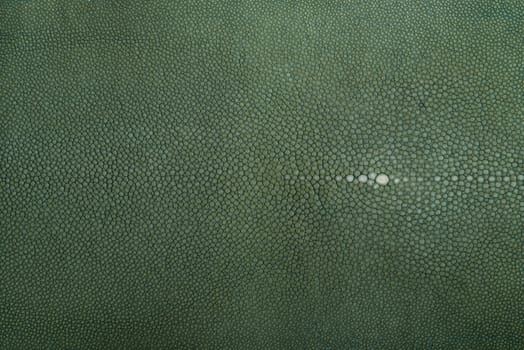 Stingray exotic fish leather, green color skin