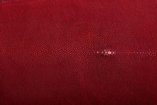 Stingray exotic fish leather, red color skin