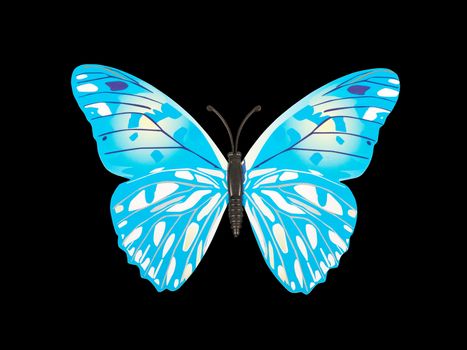 butterfly wall sticker isolated on black background     