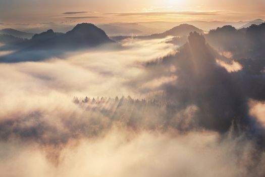 sunrise from foggy Kleiner Winterberg in the national park Bohemian Switzerland, Czech Republic