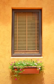 close glass window with wooden frame on orange wall