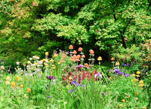 Garden scene resonant of such a sight all over the world where people sculpt,design and tend thier little piece of heaven.