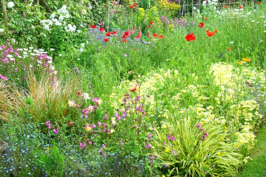 Flower border in English Country Cottage garden.