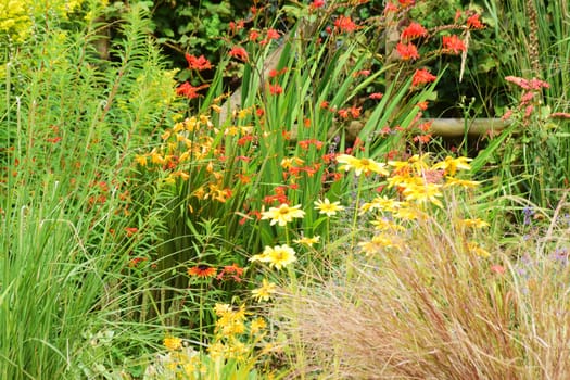 Garden scene resonant of such a sight all over the world where people sculpt,design and tend thier little piece of heaven.