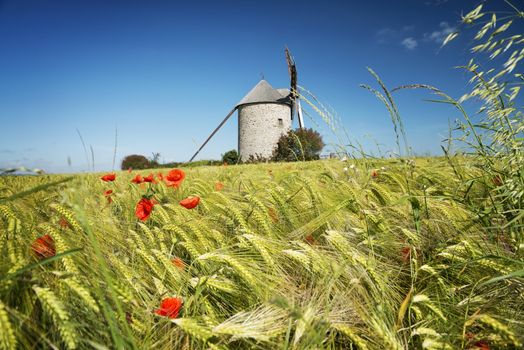 France, the Moidrey windmill in Pontorson in Normandie