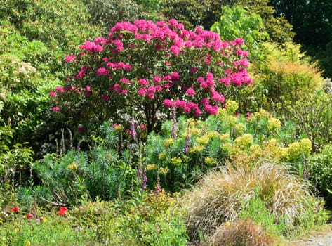 Garden scene resonant of such a sight all over the world where people sculpt desing and tend thier little piece of heaven.