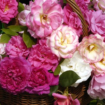 Beautiful arrangement of Pink roses in a basket.