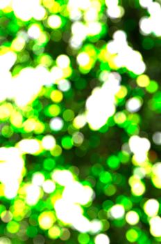 The sparkling blur abstract green background.