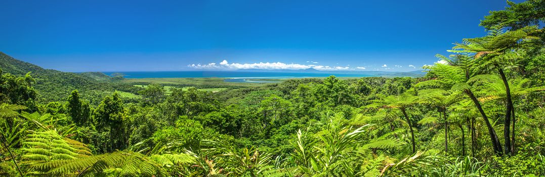 Stunning panoramic view of the daintree rain forrest and ocean.