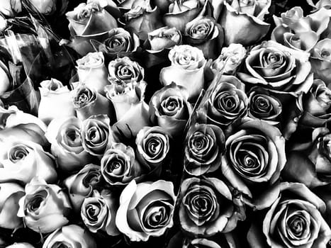 romantic roses texture in black and white