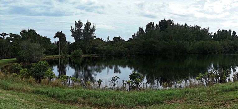 A panoramic view of a pond in a park, Miami Florida