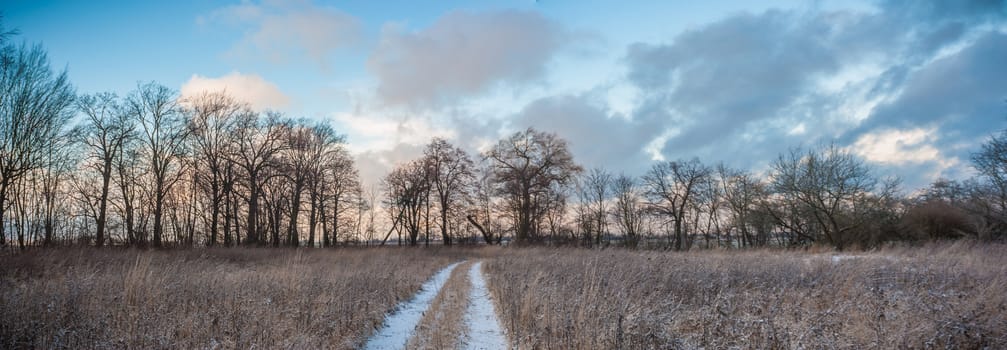 country road leading up to the horizon line , nature series